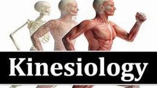 Kinesiotherapy