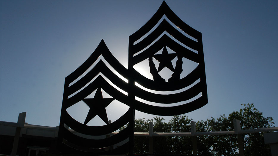 Sergeants major academy